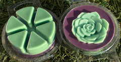 MAJI & CO Cucumber & Sea Salt Soy Wax Melts