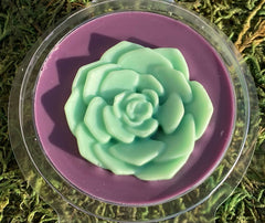 MAJI & CO Cucumber & Sea Salt Soy Wax Melts